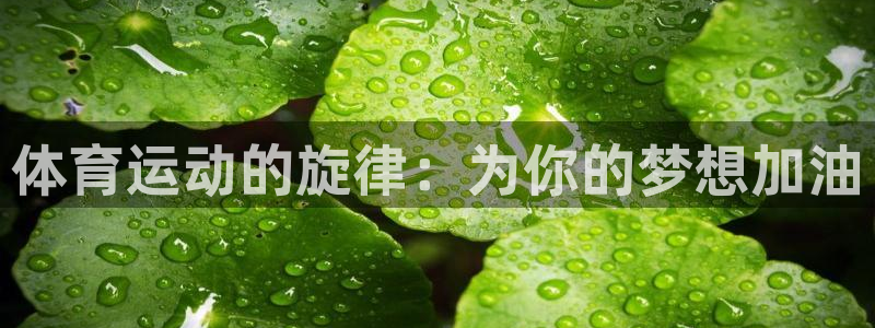 球客岛