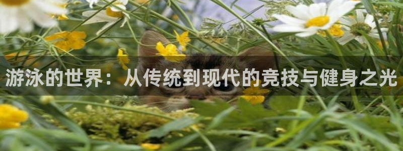 球客岛