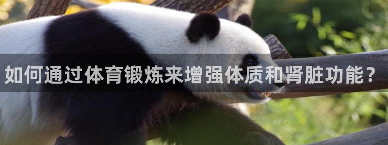 球客岛