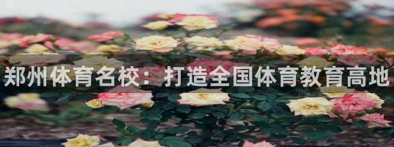 球客岛