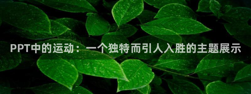 球客岛