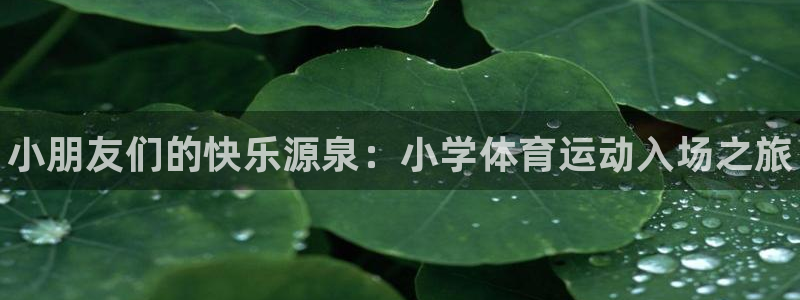 球客岛