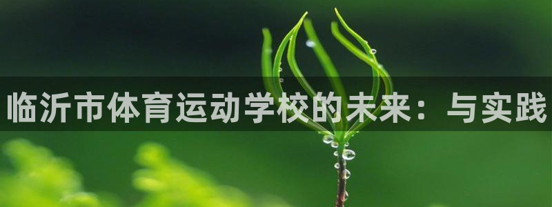 球客岛