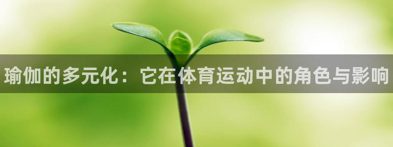 球客岛