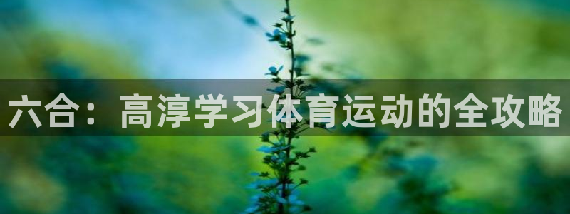 球客岛