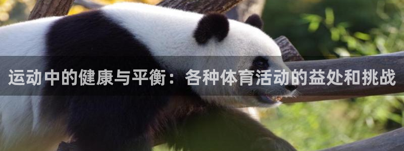 球客岛