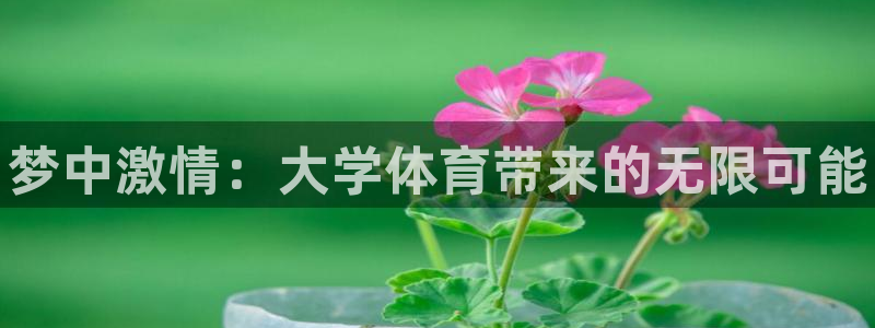 球客岛