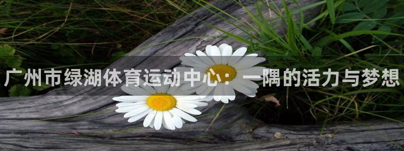 球客岛