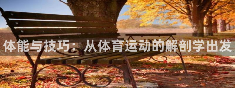 球客岛