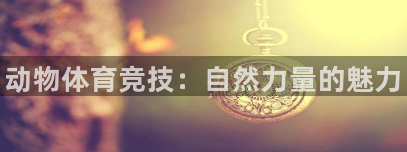 球客岛