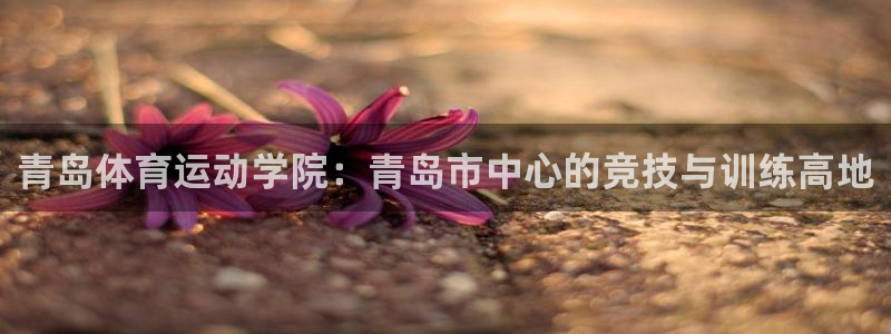 球客岛