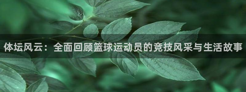 球客岛