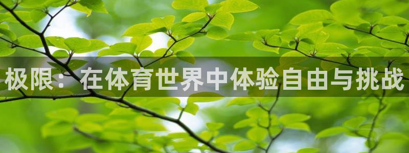 球客岛