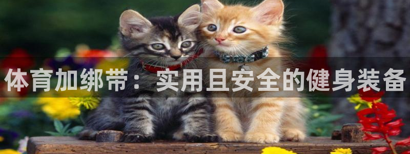 球客岛
