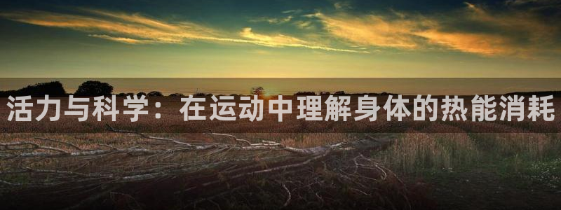 球客岛