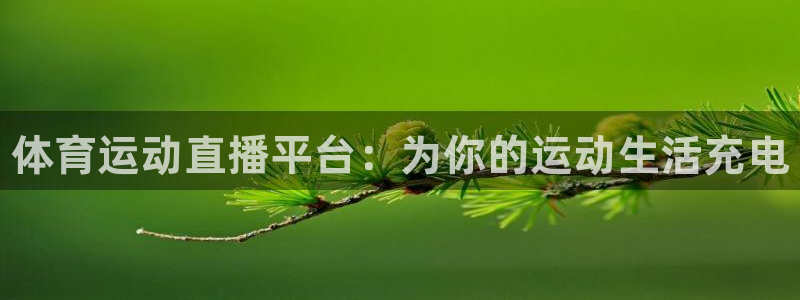 球客岛