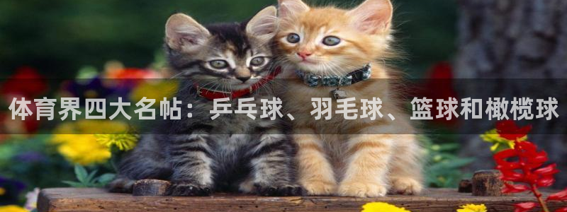 球客岛