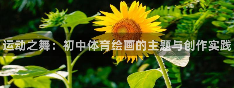 球客岛
